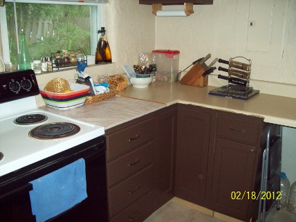 LeeAnn's Countertop Before