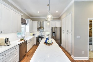 Kitchen Remodel 1